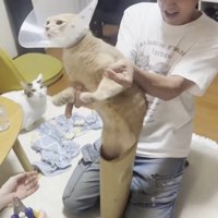 飛び出し