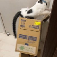 バランスを崩して傾くダンボール