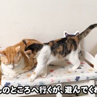 テロップ「むぎくんのところへ～」