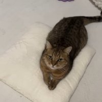 見上げるみにらくん