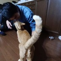 床にしゃがみ込んでいるお客さんに鼻チューする猫