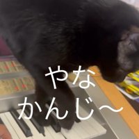 「やな感じ」と書かれた写真1
