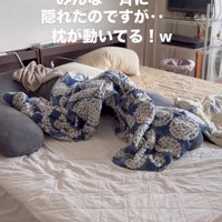 動いている奥の枕