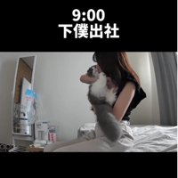 猫にキスをしている人