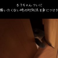 ドアをくぐるマンチカン