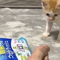 びっくりして後ずさり