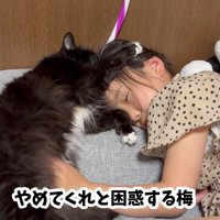 困惑する梅ちゃん