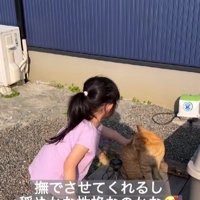 猫をなでる女の子