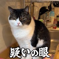 疑いの眼