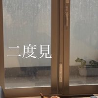 イカ耳になっているテーブル近くにいる猫