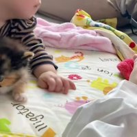 寝ている赤ちゃんと子猫