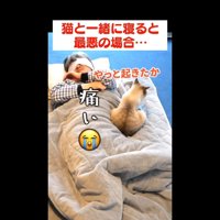 やっと起きたか