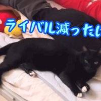 テロップ「ライバル減った～」