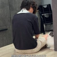 男性の後ろ姿と近くに座っている猫