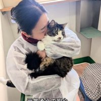 防護服を着ている飼い主に抱っこされている猫