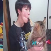 飼い主の口の中に前足が入っている猫