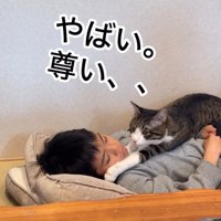 顔を覗き込む猫