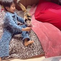 ベッドの上の男の子と猫