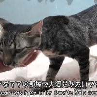 「大好きなママの部屋で大満足みたいです」