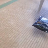 麺棒で煮干しを近づける