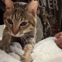 フミフミ