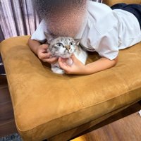 子供に抱かれた猫