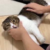 噛みつき