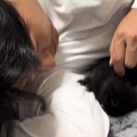 寝ころんでいる猫の写真2