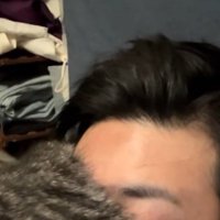 男性の頭