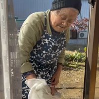 まどふきをするおばあさんとタオルを追いかけるミケ猫