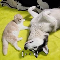寝転ぶふたり
