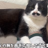 両手で掴んで