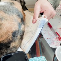 猫の下に敷かれた教科書を持つ男の子