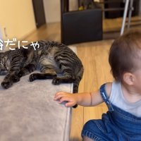 余裕だにゃ