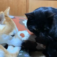 俯く天くん
