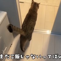 再度の誘導