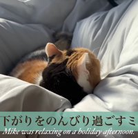 締めのセリフとミケの後ろ姿