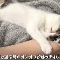 あっという間に寝た坊ちゃん