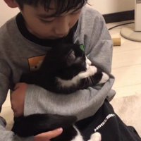 猫を抱っこしている男の子
