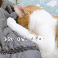 むぎゅむぎゅむぎゅ…