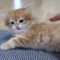 手にびっくりする赤ちゃん