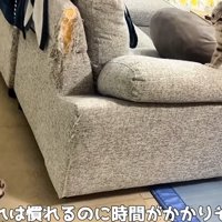 犬に向けて威嚇する子猫