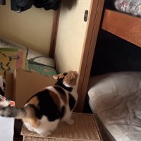 押し入れの前
