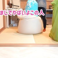 匂いを嗅ぐ猫