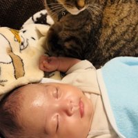眠る赤ちゃんの横でくつろぐキジトラ猫