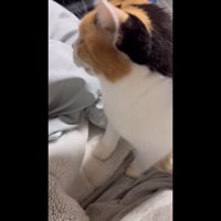 体の上に座って