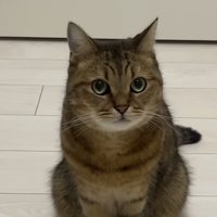 みにらくんの紹介写真