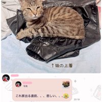 上着に乗る猫の写真とメッセージ