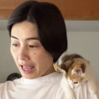 女性の視線の向いている方へ目を向ける子猫