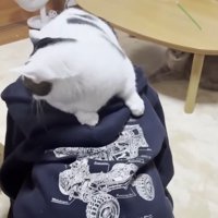 乗せたまま移動